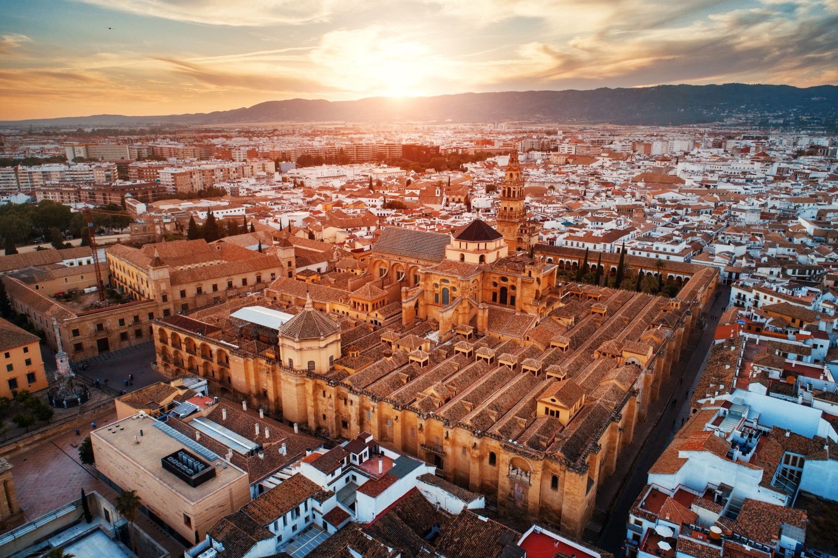 Cultura en España