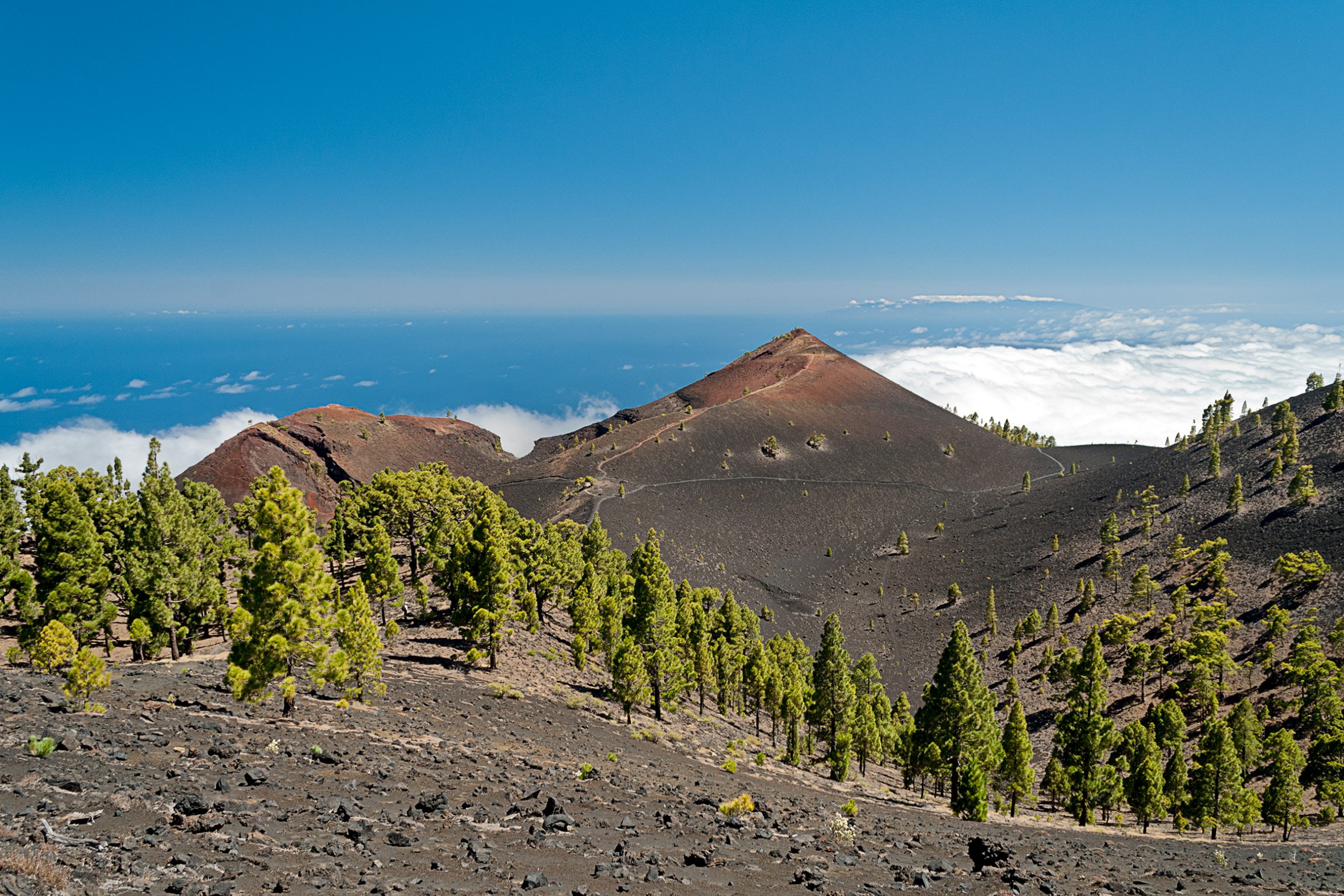 Islas Canarias